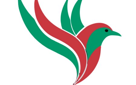 People Think N²⁴P Means North 24 Parganas — But the Truth Is Completely Different